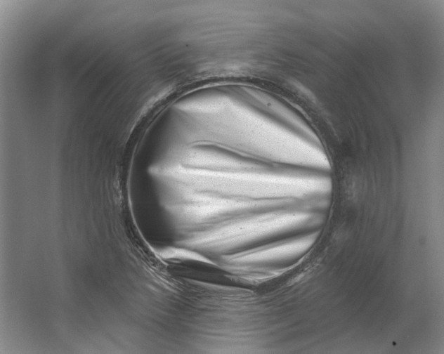 X0000062791218200601051037