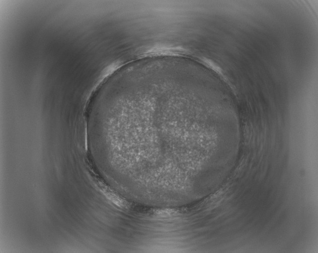 X0000062791219200601051037