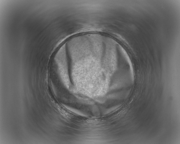 X0000062791220200601051037