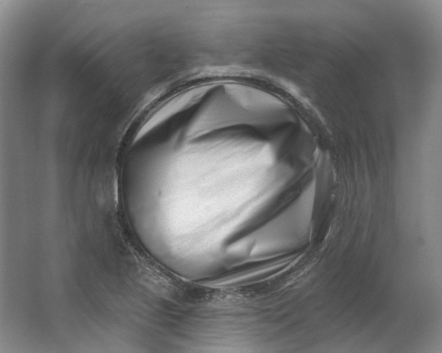 X0000062791221200601051037