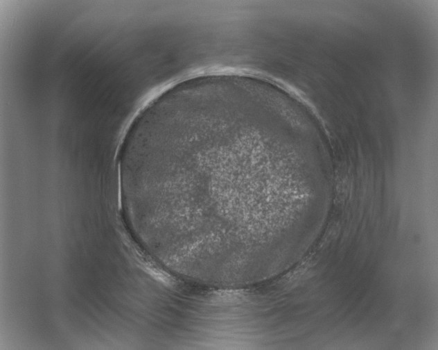 X0000062791223200601051037