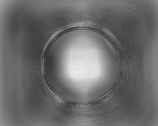 X0000062791224200601051037