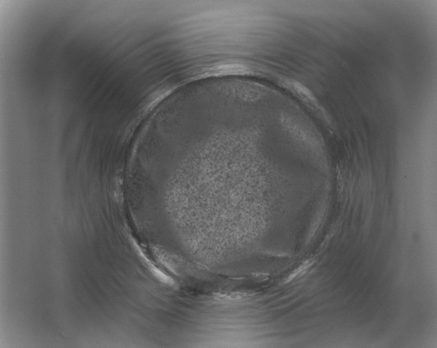 X0000062791225200601051037