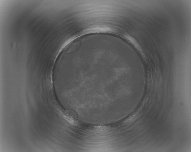 X0000062791226200601051037