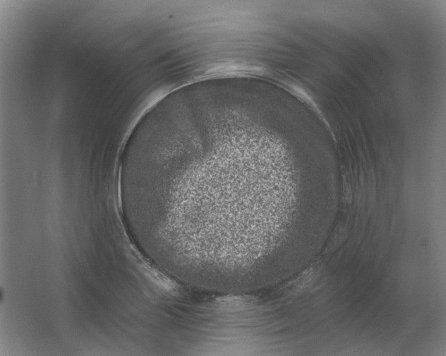 X0000062791227200601051037