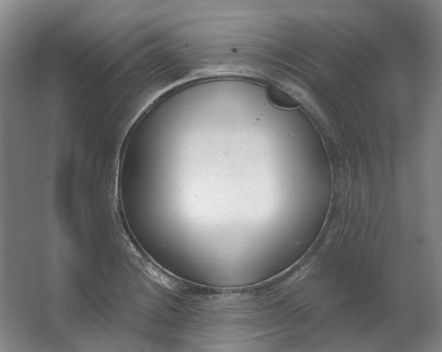 X0000062791228200601051037