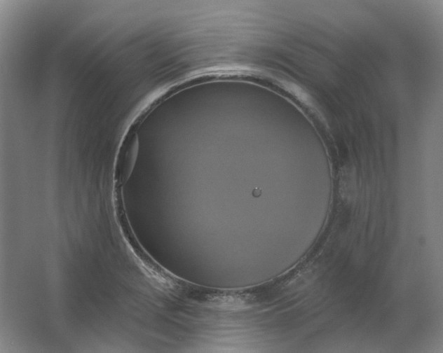 X0000062791229200601051037