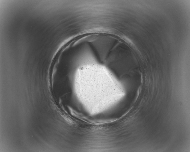 X0000062791230200601051037