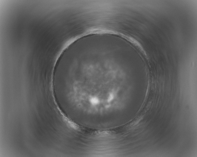 X0000062791231200601051037