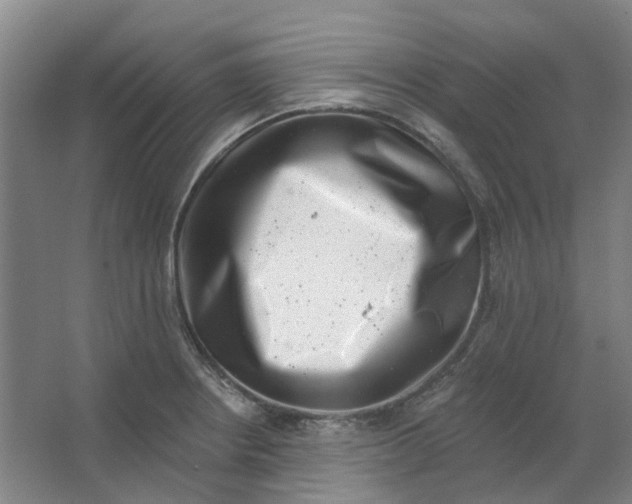 X0000062791234200601051037