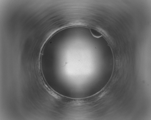 X0000062791236200601051037