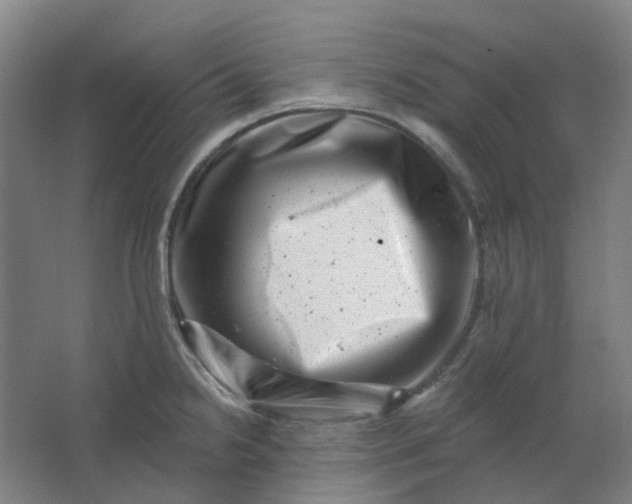 X0000062791238200601051037