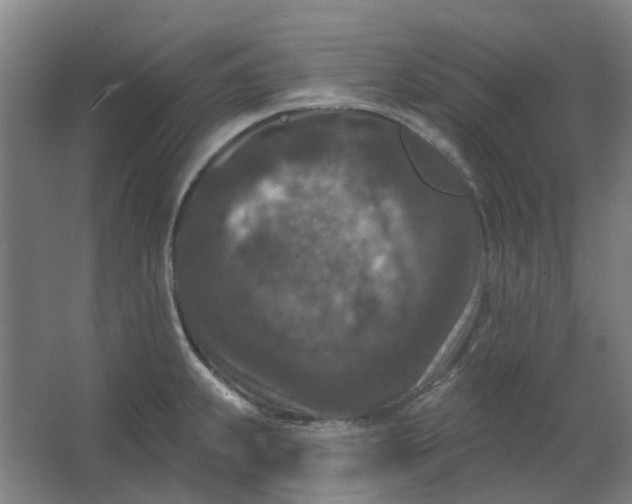 X0000062791239200601051037