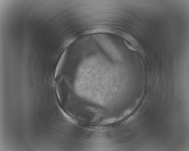 X0000062791241200601051037