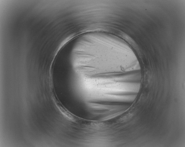 X0000062791242200601051037