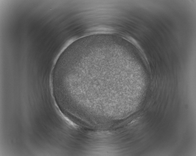 X0000062791243200601051037