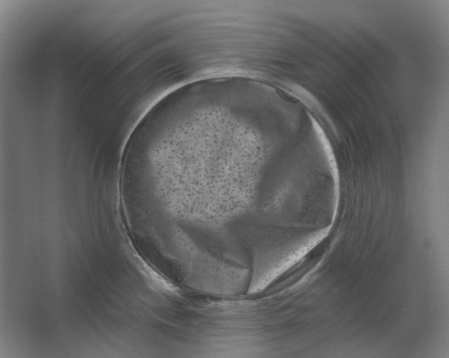 X0000062791244200601051037