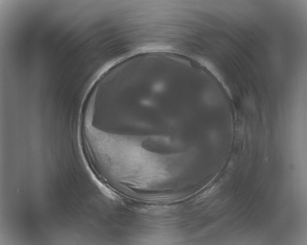 X0000062791245200601051037