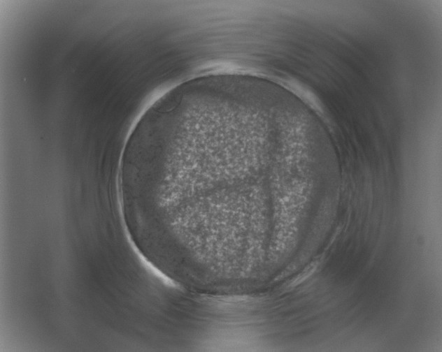 X0000062791247200601051037