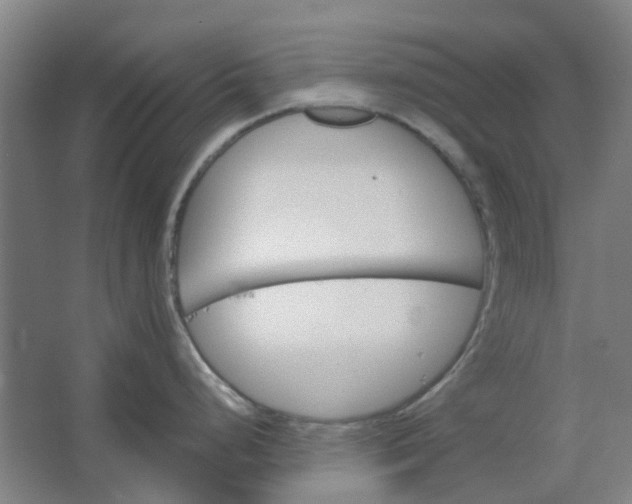 X0000062791248200601051037