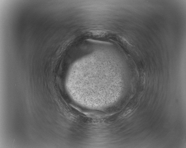 X0000062791249200601051037