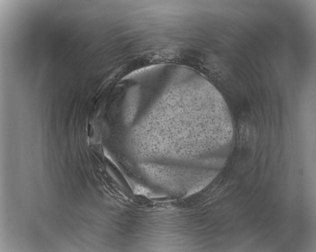 X0000062791250200601051036