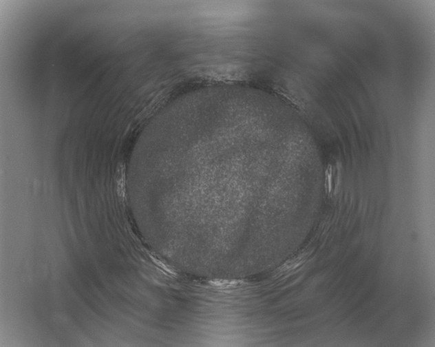 X0000062791251200601051036