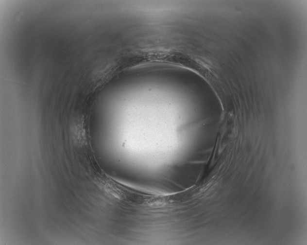 X0000062791252200601051036