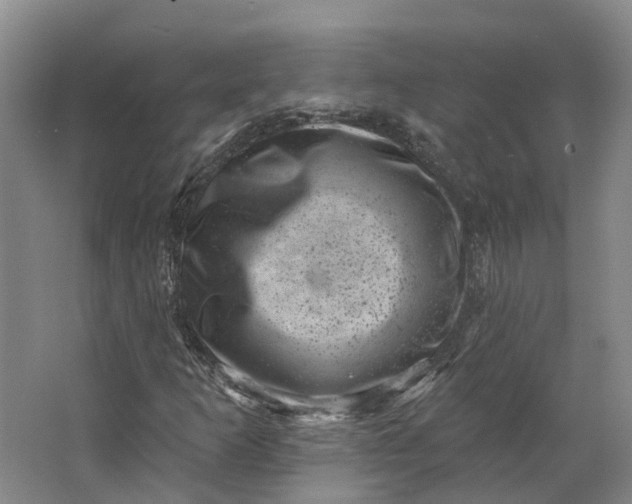 X0000062791253200601051036