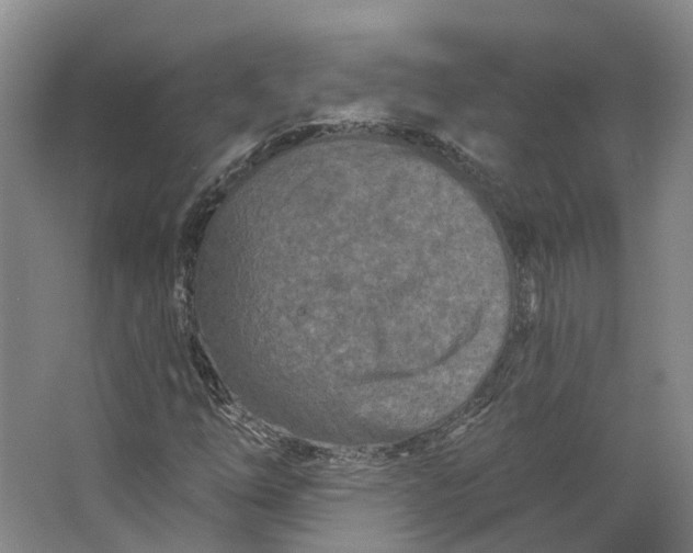 X0000062791254200601051036