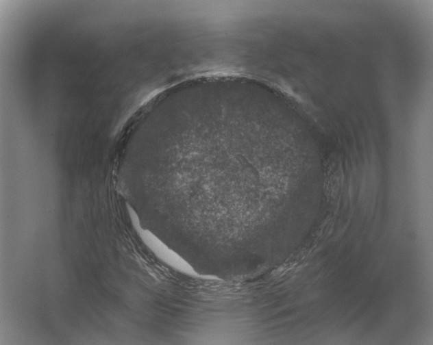 X0000062791255200601051036