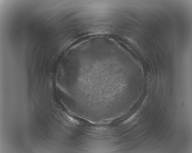 X0000062791257200601051036