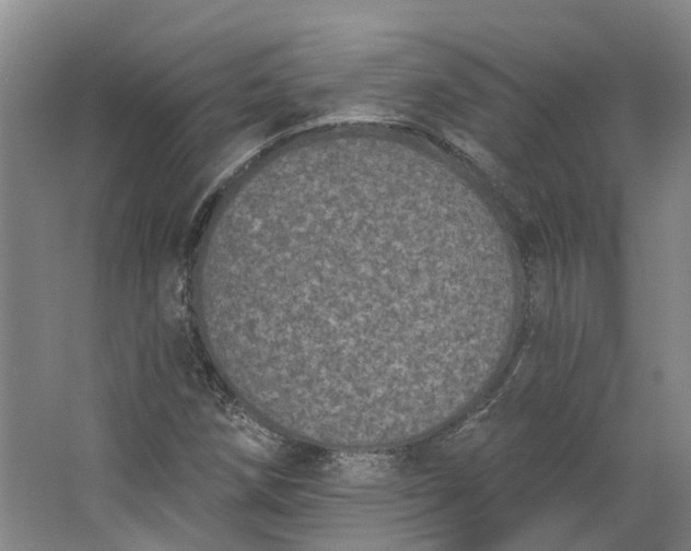 X0000062791258200601051036