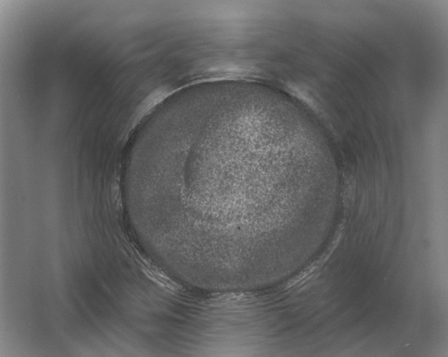 X0000062791259200601051036