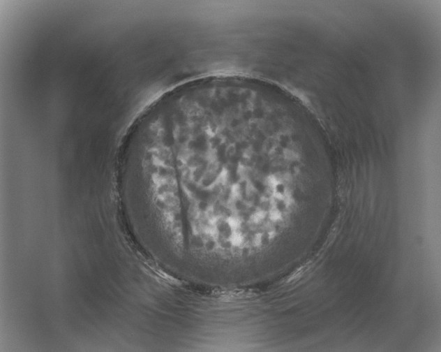 X0000062791263200601051036