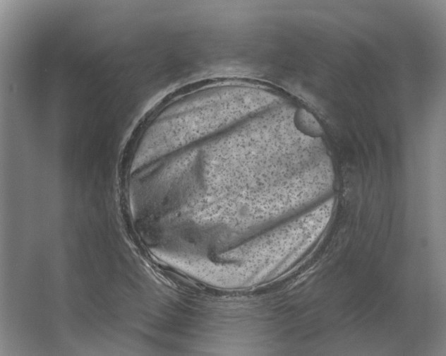 X0000062791264200601051036