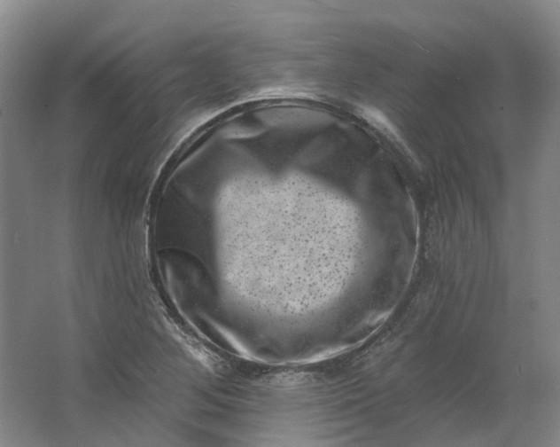 X0000062791268200601051036