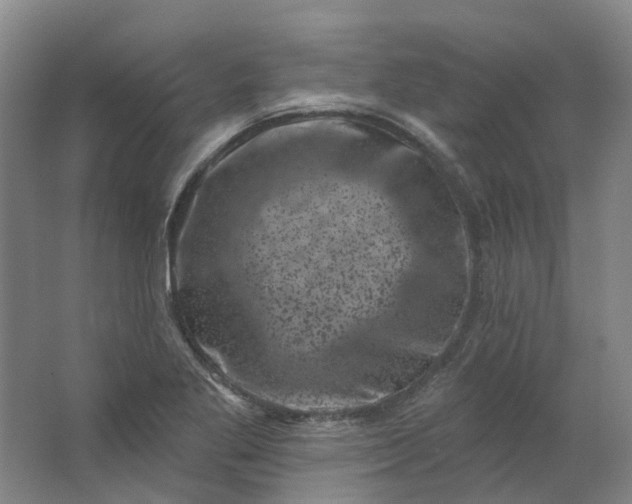 X0000062791269200601051036