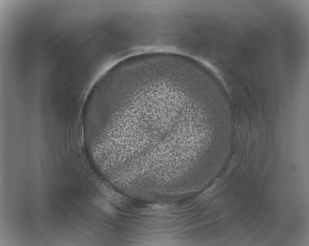 X0000062791271200601051036