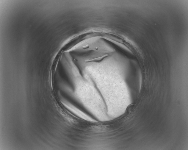 X0000062791272200601051036