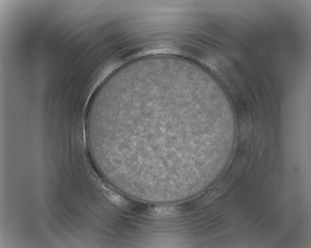 X0000062791274200601051036