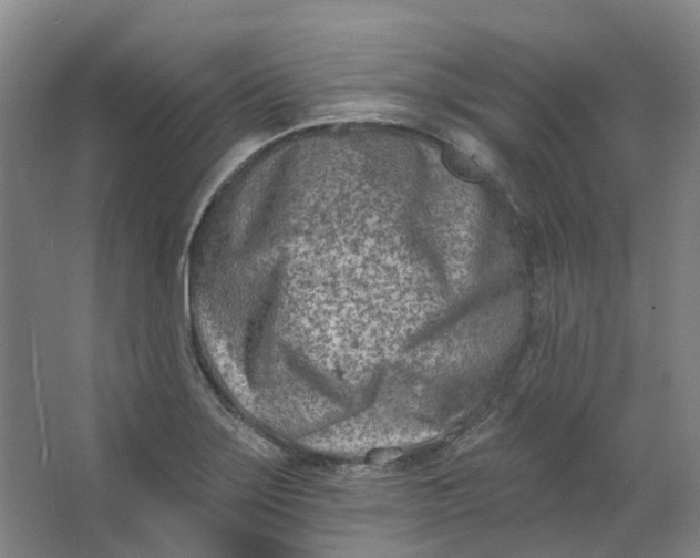 X0000062791275200601051036