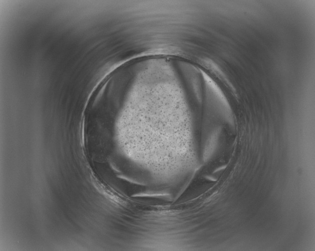 X0000062791276200601051036