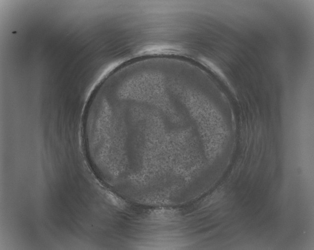 X0000062791277200601051036