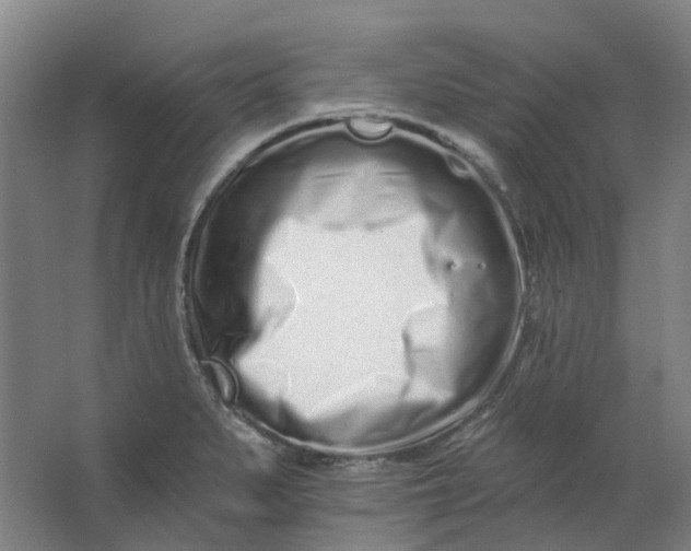 X0000062791279200601051036