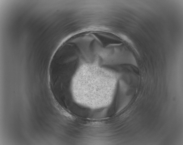 X0000062791280200601051036