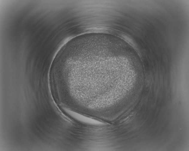 X0000062791283200601051036