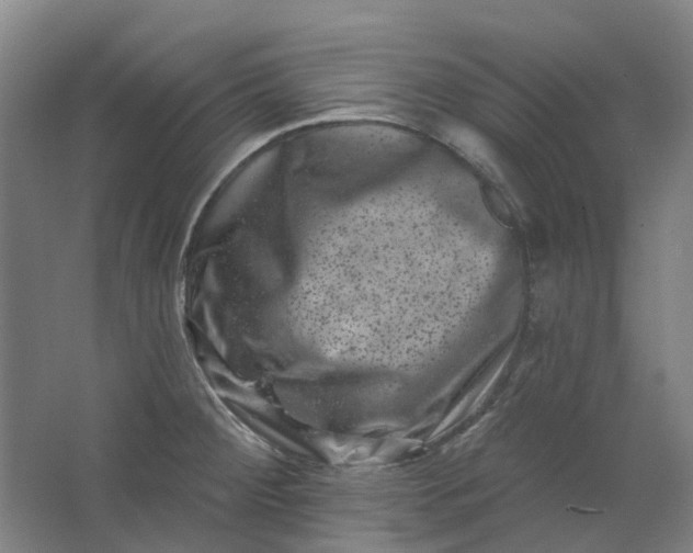 X0000062791284200601051036