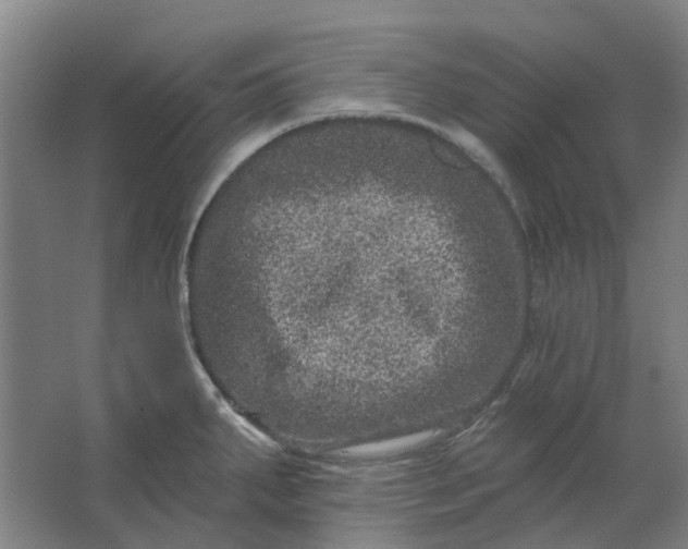 X0000062791287200601051036