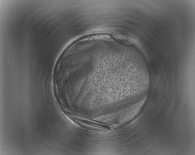 X0000062791288200601051036